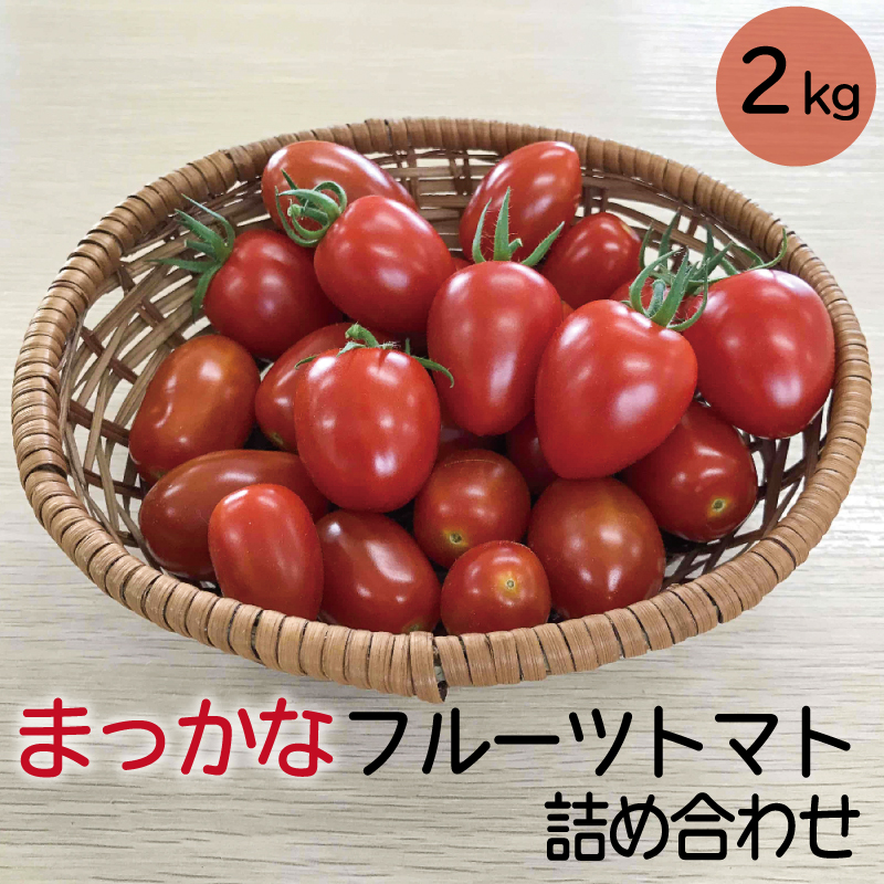 【ふるさと納税】【予約受付】まっかな フルーツ トマト 詰め合わせ 2kg 樹上完熟 甘い 美味しい おすすめ