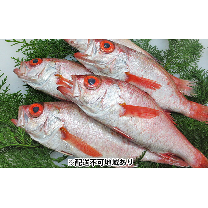 配送不可 離島 お届け 21年9月上旬 22年5月下旬 島根県江津市 魚介類 水産加工品 セット 詰め合わせ 魚貝類 のどぐろ 魚 魚介類 島根県江津市 ふるさと納税 鮮魚セットf