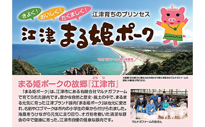 【ふるさと納税】【10ヶ月定期便】まる姫ポーク切り落とし約3kg(300g×10パック)【定期便・お肉・牛肉・豚肉】