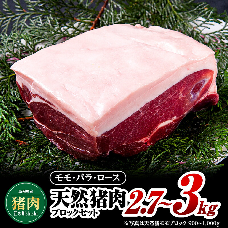 【ふるさと納税】江の川shishi ブロックセット 計2.7kg～3kg 【AI-3】｜送料無料 国産 ジビエ 天然ジビエ お肉 肉 いのしし肉 イノシシ肉 猪肉 天然猪 モモ バラ ロース ブロック肉 ブロック ブロックセット セット スジ無し 煮込み用 角煮 焼肉 焼き肉 BBQ 冷凍 希少｜ 42,000円