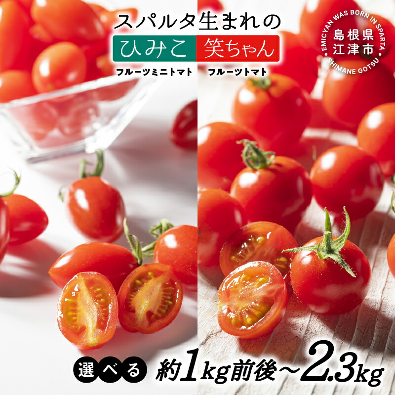 【ふるさと納税】スパルタ生まれのひみこ（フルーツミニトマト）スパルタ生まれの笑ちゃん（フルーツトマト）｜送料無料 産地直送 フルティカ 訳あり トマト ミニトマト フルーツトマト 甘い 人気 完熟 新鮮 野菜 サラダ 贈物 ギフト【種類と内容量を選べる】