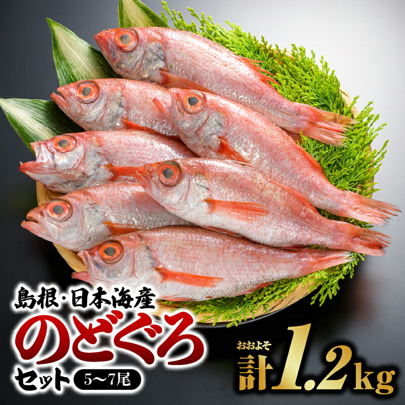 【ふるさと納税】鮮魚セットF のどぐろ 5～7尾 計約1.2kg【YM-6】｜送料無料 のどぐろ ノドグロ 魚 さかな 焼き魚 島根 山陰 日本海産 魚介類 魚貝類 海産 海産物 おかず 下処理済 煮付け 刺身 さしみ 鮮魚 新鮮｜　お届け：８月下旬～翌年5月末(6月～8月下旬まで禁漁のため)