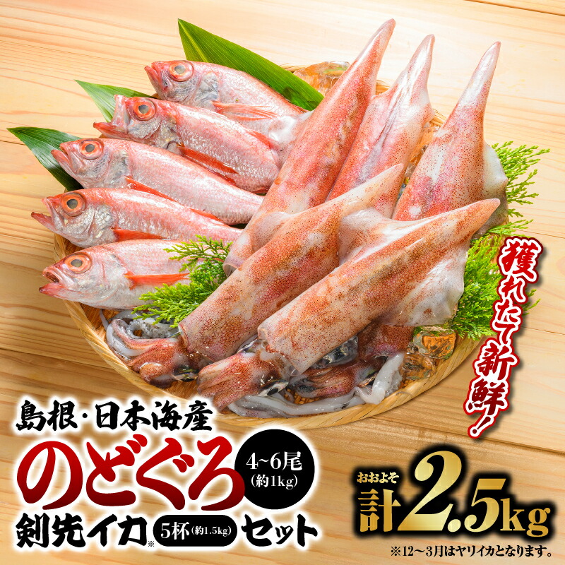 【ふるさと納税】鮮魚セットB【のどぐろ4～6尾（約1kg）・イカ（約300g×5）】計約2.5kg【YM-2】｜送料無料 のどぐろ イカ 島根 山陰 日本海産 魚介類 魚貝類 海産 海産物 魚 さかな いか ノドグロ 鮮魚 剣先イカ ヤリイカ 下処理済 煮付け 焼き魚 刺身 さしみ 厳選｜