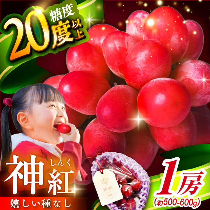 【ふるさと納税】【2025年先行予約】【8月初旬頃から順次発送】数量限定！島根県オリジナル品種「神紅」1房 約500～600g 産地直送 種なし葡萄 島根県雲南市/池田ぶどう農園 [AIAA001]