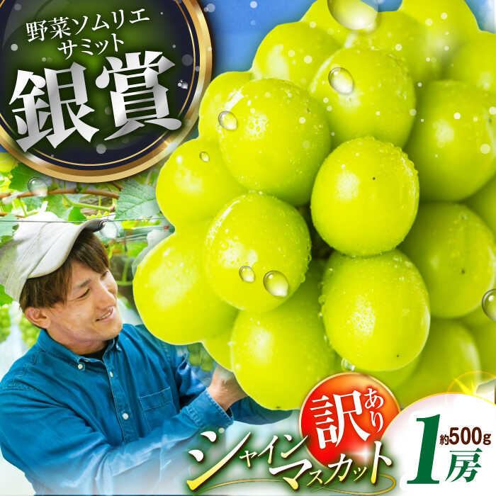 【ふるさと納税】【2025年先行予約】【数量限定】【ご自宅用】旬の味わいを産地直送で！シャインマスカット 1房（約500g）簡易包装 訳あり 島根県雲南市/ギアファーム[AIAB004]