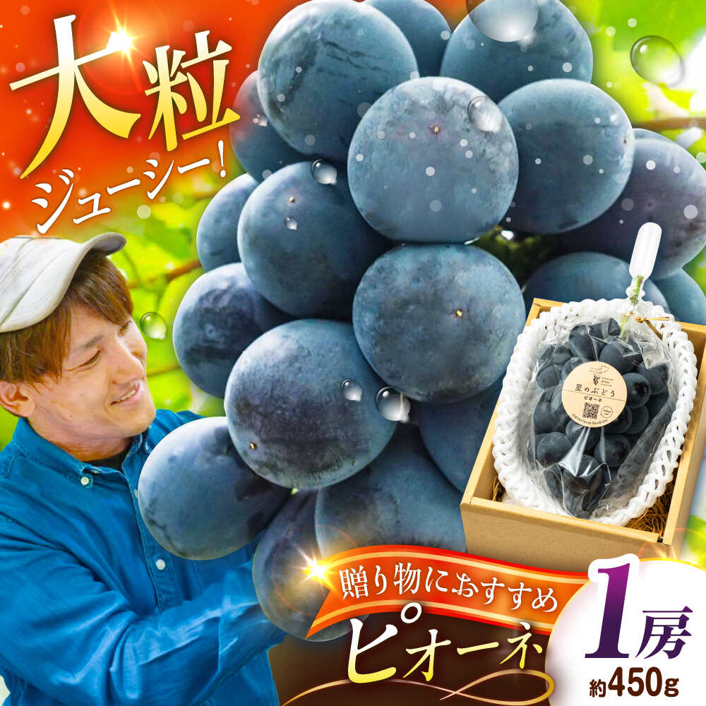 【ふるさと納税】【先行予約：2026年8月中旬より発送】【贈答用】旬の味わいを農家直送で！ピオーネ 1房（約450g）秀品・化粧箱入り 島根県雲南市/ギアファーム[AIAB015]