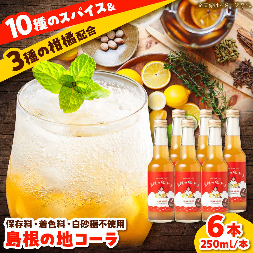 【ふるさと納税】【年間1万本販売!】原料にこだわったクラフトコーラ 250ml×6本セット 手作り ジュース ソフトドリンク スパイス 無添加 健康 島根県雲南市/出雲SPICE LAB.[AIAD001]