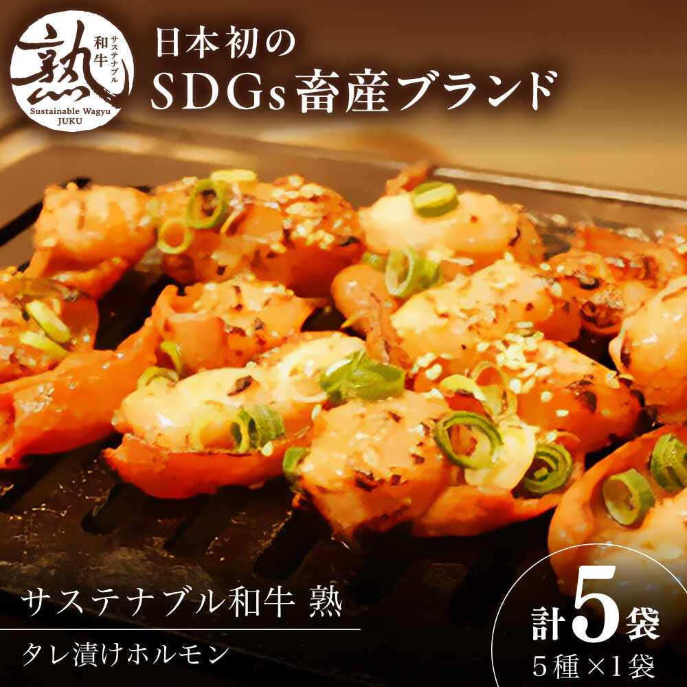 【ふるさと納税】 ホルモン サステナブル和牛 熟 ホルモン タレ漬けシリーズ5P（もつ・レバー・ハツ・センマイ・ミックス）| 牛肉 和牛 熟成 タレ漬け セット ホルモン 詰め合わせ 食べ比べ 焼肉 焼き肉 BBQ もつ レバー 人気 島根県雲南市/株式会社熟豊ファーム[AIAT002]｜島根県雲南市