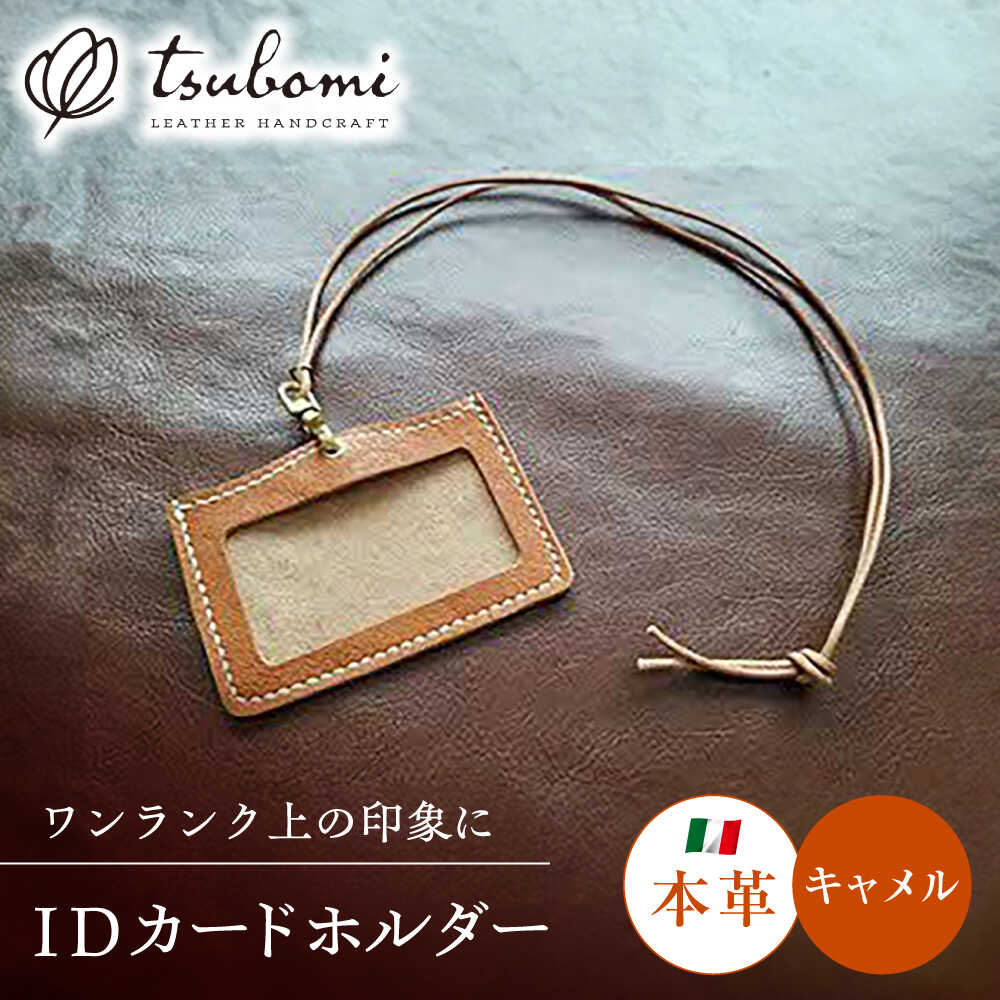 タンパク質特集