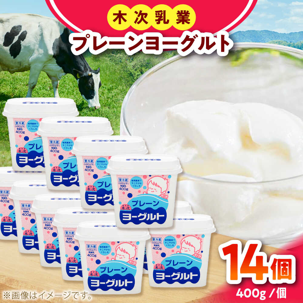 【ふるさと納税】プレーンヨーグルト14個セット ヨーグルト プレーン 無糖 乳製品 スイーツ 生乳 人気 大容量 島根県雲南市/木次乳業有限会社[AIBH034]