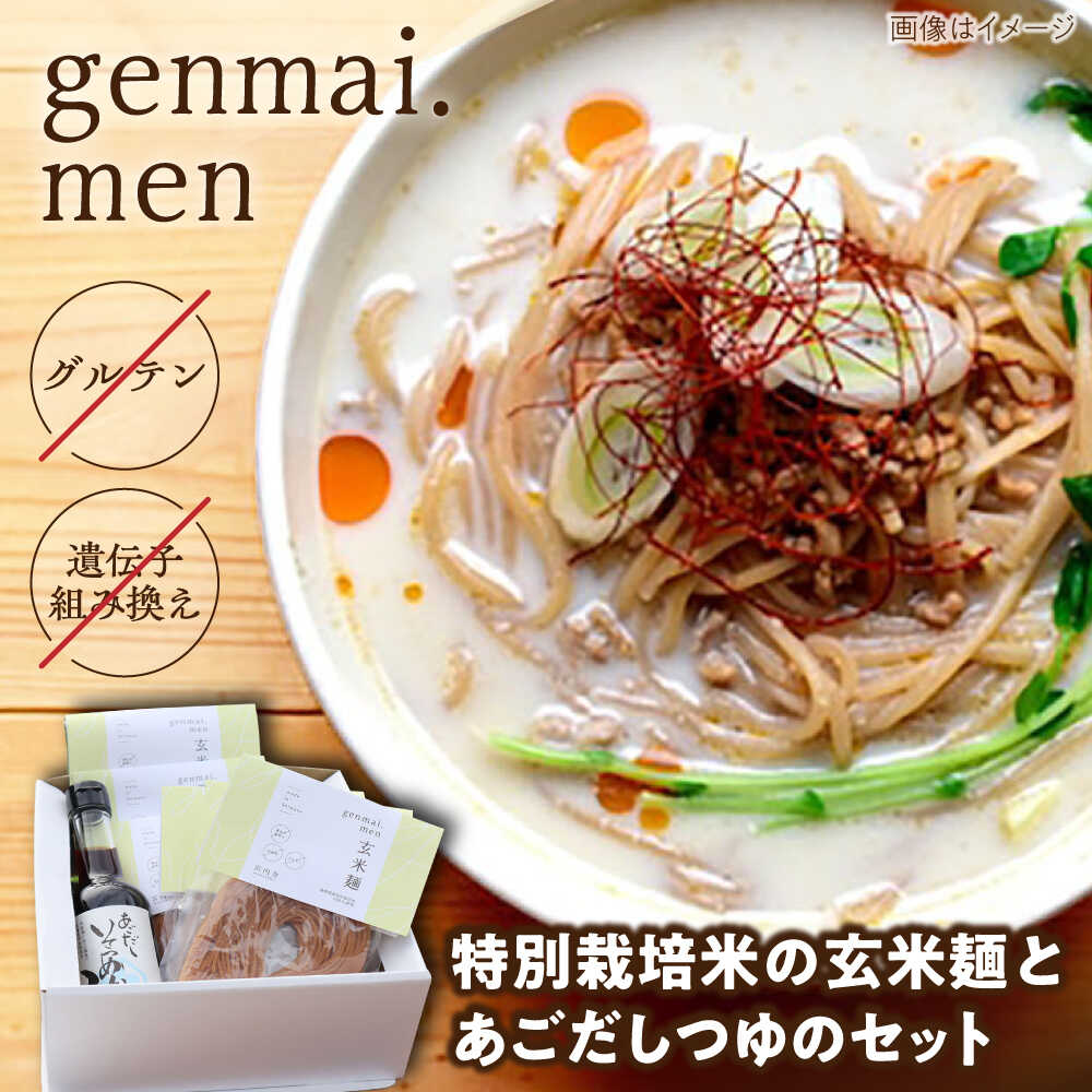 【ふるさと納税】グルテンフリーの玄米麺と日本海のあごだし麺つゆセット（6食） 島根県雲南市/合同会社　宮内舎[AIBM002]