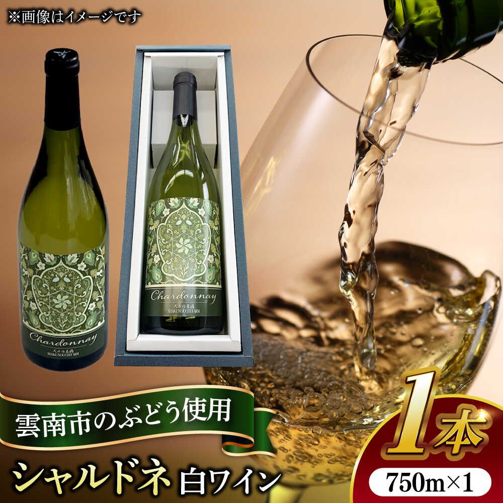 話題沸騰中の】【ふるさと納税】 ワイン 尺の内農園ワイン シャルドネ