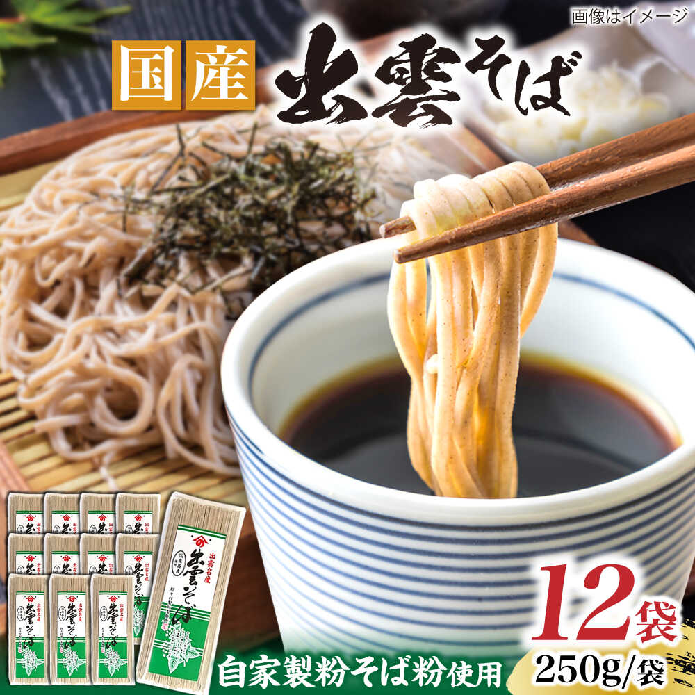 【ふるさと納税】昔ながらの出雲そば 250g×12袋 | そば 出雲そば 麺 出雲 島根県雲南市/野々村製粉製麺所[AICE002]
