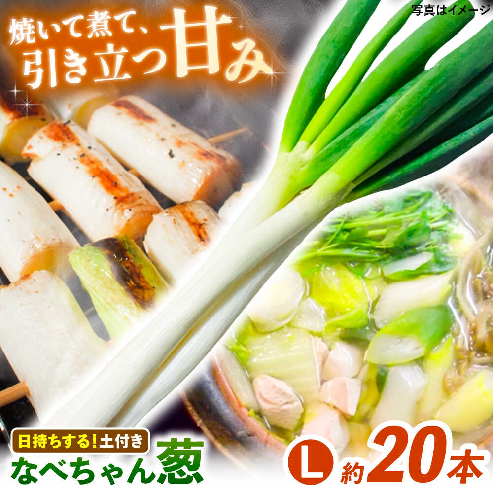 【ながねぎ】 楽天市場】【ふるさと納税】【2025年11月発送開始】 ねぎ 焼いて