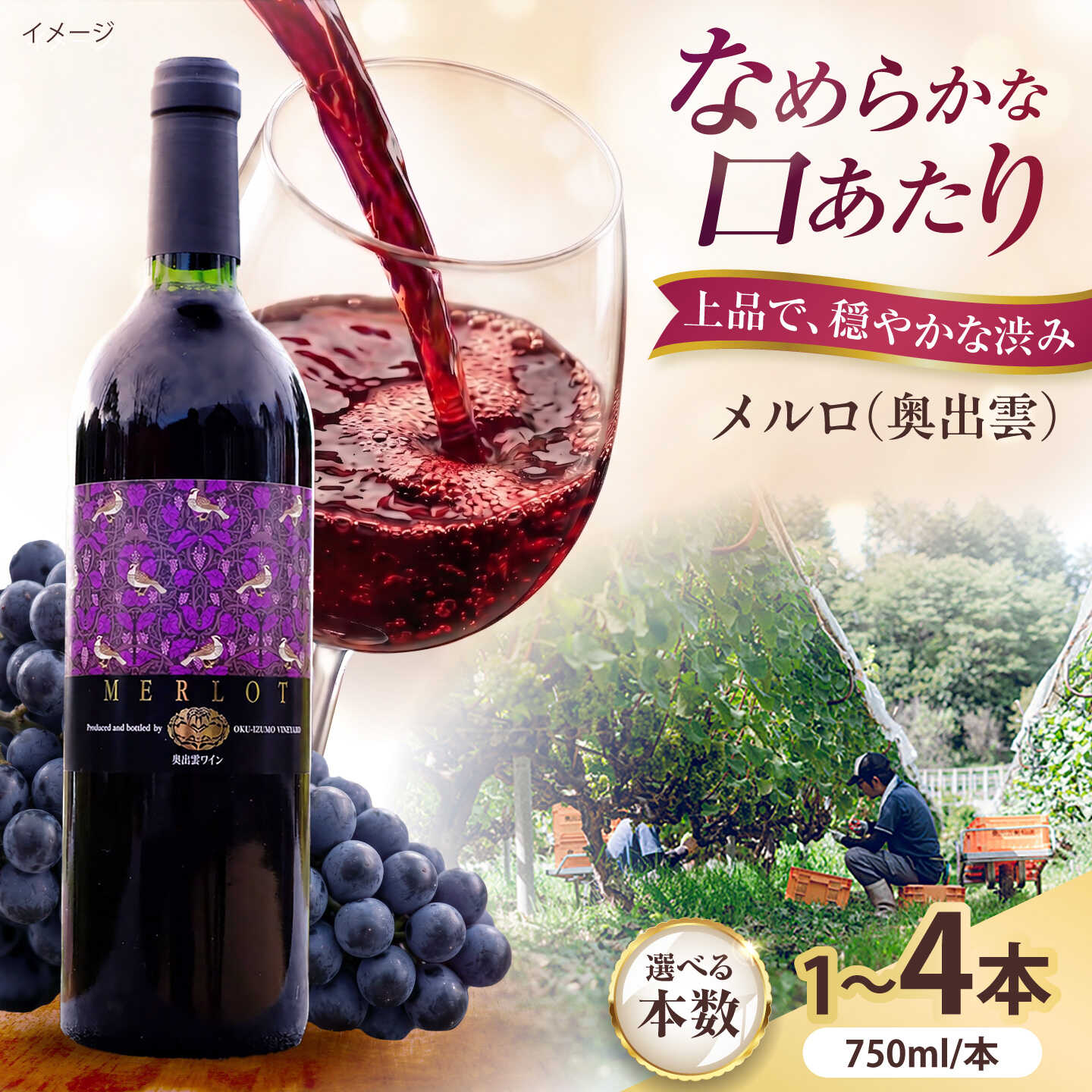 【ふるさと納税】【選べる本数】奥出雲ワイン メルロ 750ml 赤ワイン 国産 島根県雲南市/有限会社奥出雲葡萄園[AICS094]｜島根県雲南市