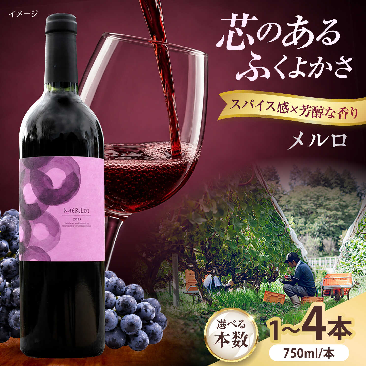 【ふるさと納税】【選べる本数】メルロ 750ml 赤ワイン 国産 島根県雲南市/有限会社奥出雲葡萄園[AICS099]｜島根県雲南市