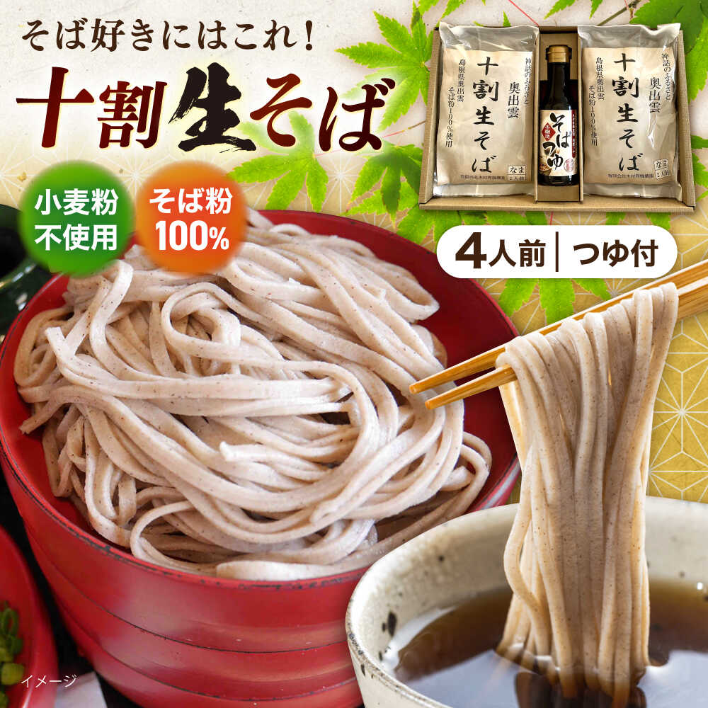 【ふるさと納税】十割生そばと特製そばつゆのセット 2人前×2袋　 | 十割生そば 特製そばつゆ セット そば そばつゆ 島根県雲南市/有限会社木村有機農園[AICU004]