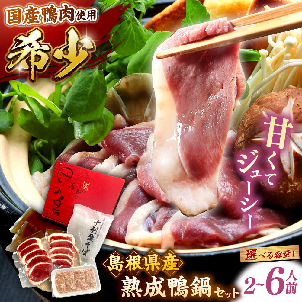 【ふるさと納税】【選べる容量】 鴨鍋 希少な国産鴨肉！島根県産野草ミネラル熟成鴨の鴨鍋セット（2～6人前）十割蕎麦 そば 鴨鍋 かも鍋 鴨肉 鍋 蕎麦 そば 十割そば 出雲そば 島根県雲南市/鴨専門店カナール[AIDC002] 18,250円