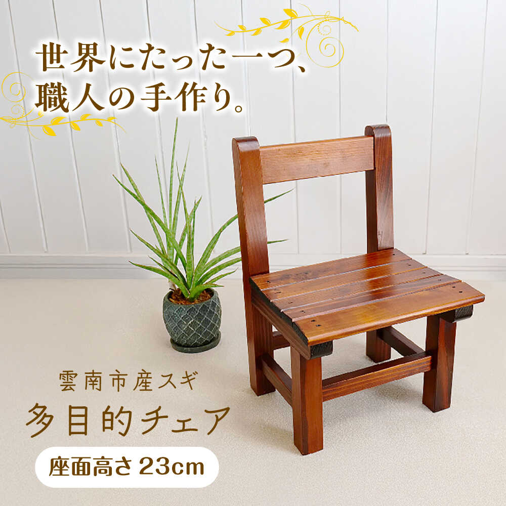 たんぱく質特集