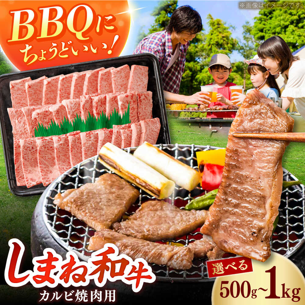 【ふるさと納税】【選べる容量】【焼肉におすすめ!】カルビ しまね和牛カルビ ｜ 和牛 牛肉 国産 国産牛 赤身 焼肉 ステーキ スライス 人気 黒毛和牛 BBQ ギフト 人気 おすすめ ブランド牛 カルビ 肉 お肉 島根県雲南市/フジキコーポーレーション株式会社[AIEA010]｜島根県雲南市
