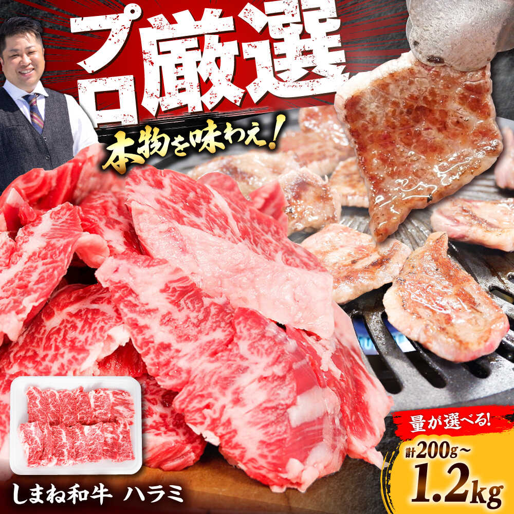 【ふるさと納税】【選べる容量！】 【焼肉の定番！】しまね和牛ハラミ200g～1.2kg和牛 牛肉 国産 国産牛 赤身 焼肉 ステーキ ハラミ 人気 黒毛和牛 ギフト 島根県雲南市/株式会社O.R.C[AIEF005]｜島根県雲南市