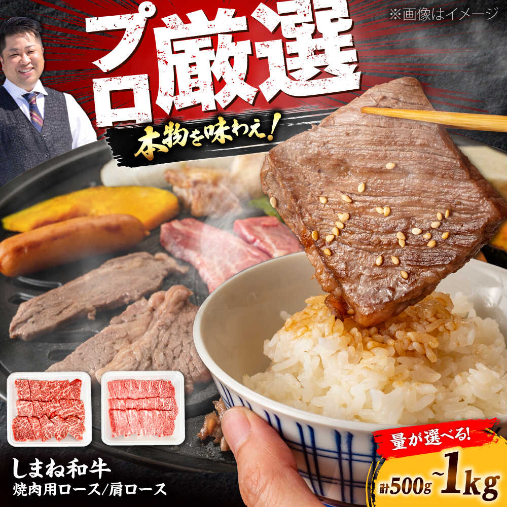【ふるさと納税】【選べる容量】【焼肉の定番！】しまね和牛焼肉用ロース/肩ロース500g～1kg 和牛 牛肉 国産 国産牛 赤身 焼肉 ステーキ ロース 肩ロース 人気 大容量 黒毛和牛 ギフト 島根県雲南市/株式会社O.R.C[AIEF011] 25,160円
