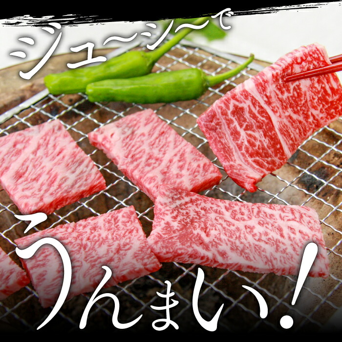 奥出雲和牛 肩ロース すき焼き用 600g 贅沢 和牛 冷蔵 肉 島根県産 新鮮 550g 黒毛和牛 600g 赤身 550g すき焼き用 牛肉  霜降り サーロインステーキ 180g×2枚 国産 焼肉用 毎月お届け 飯南町産 焼肉用 チルド 5回定期 スライス肉 精肉・肉加工品 