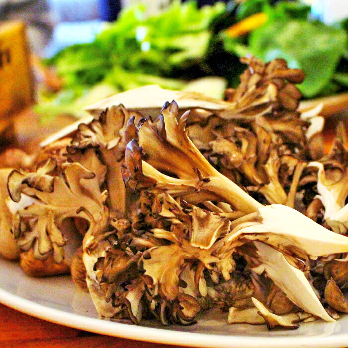 【ふるさと納税】 生舞茸 約400g 1株 国産 島根県産 飯南町産 野菜 山菜 きのこ キノコ マイタケ 肉厚 完全無農薬栽培 菌床 贅沢 バター焼き 天ぷら 炊き込みご飯 冷蔵 詰め合わせ お取り寄せ｜島根県飯南町