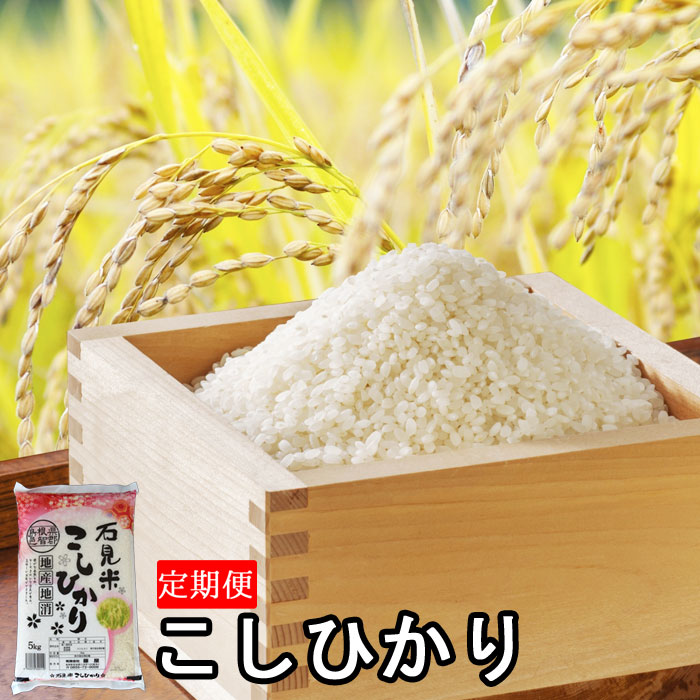 ふるさと納税 米 60kg コシヒカリ 令和2年 お米 定期便6ヵ月10kg 計60kg 島根県 川本町産 コシヒカリ 老舗米屋 厳選 藤屋 Andapt Com