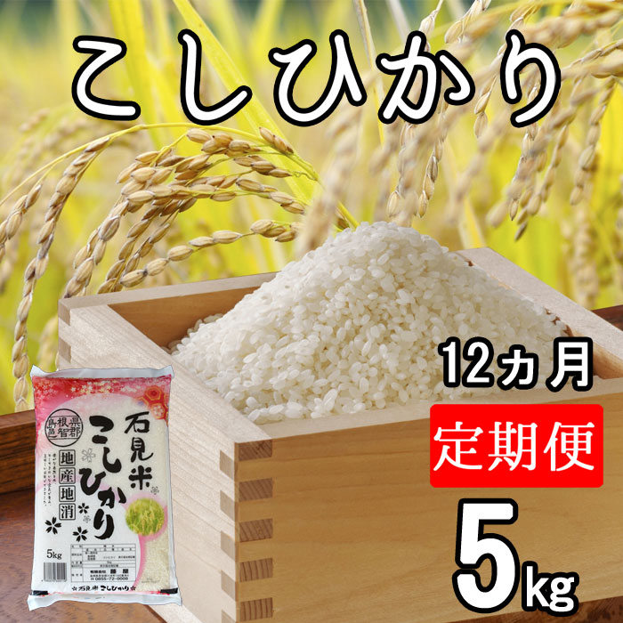 ふるさと納税 米 60kg コシヒカリ 令和2年 お米 定期便12ヵ月 5kg 計60kg 島根県 川本町産 コシヒカリ 老舗米屋 厳選 藤屋 Christine Coppin Com