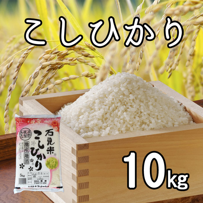 ふるさと納税 米 10kg コシヒカリ 令和2年 お米 10kg 1袋 計10kg 島根県 川本町産 コシヒカリ 老舗米屋 厳選 藤屋 Christine Coppin Com