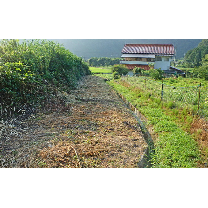 【ふるさと納税】 空き家 空き地の草刈り 5時間コース 【地域のお礼の品 カタログ】 20,440円