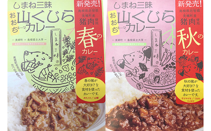 ふるさと納税 みさと産直 山くじらキーマカレー ライスセットu3000 加工食品 惣菜 レトルト お米 コシヒカリ 缶詰 キーマカレー Beregszaszietterem Hu