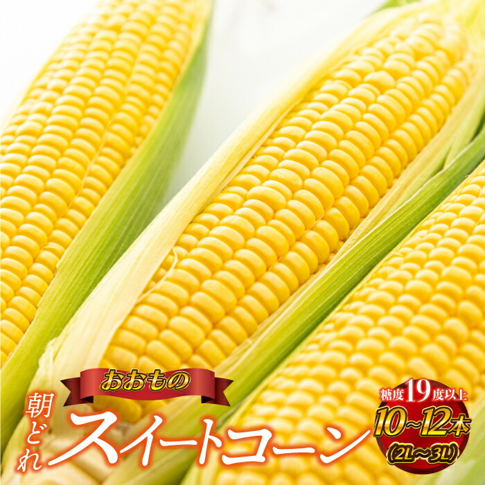 【ふるさと納税】糖度19度以上朝どれスイートコーン「おおもの」10～12本（2L～3L）