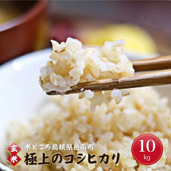 【ふるさと納税】令和7年産【玄米】邑南町産石見高原瑞穂米10kg（5kg×2）