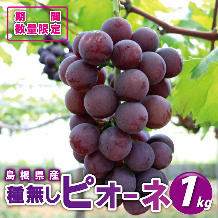 【ふるさと納税】先行予約【糖度18度以上！】種無しピオーネ約1kg  9月中旬よりお届け