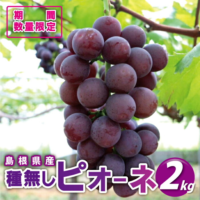 【ふるさと納税】先行予約【糖度18度以上！】種無しピオーネ約2kg  9月中旬よりお届け