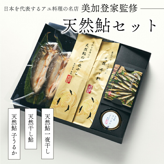 【ふるさと納税】天然鮎 一夜干し 干し鮎 うるか セット美加登家監修 22,200円