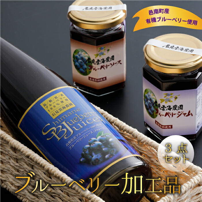 【ふるさと納税】ブルーベリー 加工品3点セット