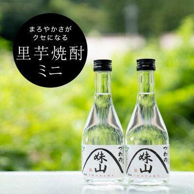 【ふるさと納税】特産のとろりとしてねばりけのある里芋でつくった里芋焼酎【ミニ(300ml)×2本セット】【1341155】 6,000円
