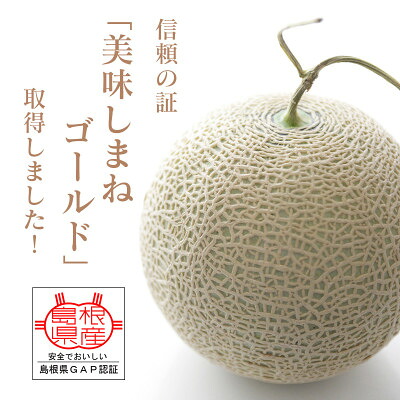 【ふるさと納税】メロンパークの赤肉メロン【2026年10月より順次発送・2Lサイズ1玉】【1666377】