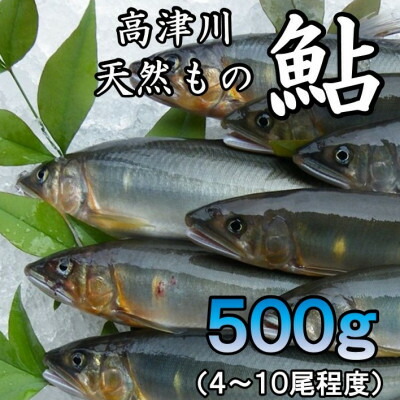 【ふるさと納税】高津川天然あゆ冷凍　500g(吉賀町)_ 天然あゆ 鮎 あゆ 鮎魚 川魚 冷凍 鮮度保持 お取り寄せ ご飯のお供 人気 贈答 ギフト【配送不可地域：離島】【1259201】