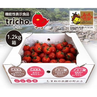 【ふるさと納税】高糖度フルーツトマト「tricho(トリコ)」1.2kg【配送不可地域：離島】【1420206】画像