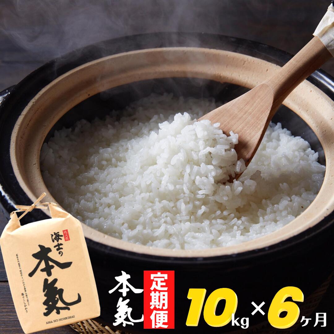 令和4年 新米 定期便 ブランド米 本氣米 10kg×6か月 計60kg コシヒカリ