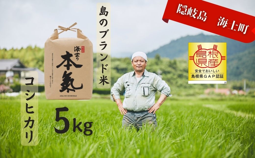 【ふるさと納税】【令和7年産! 本氣米5kg：コシヒカリ】甘くてもっちり島のブランド米 本氣米 お米 精米 白米 弁当 ごはん ご飯 おにぎり ギフト｜島根県海士町