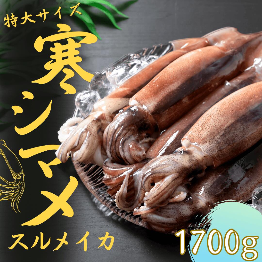 【ふるさと納税】朝どれ寒シマメ　スルメイカ【特大】 1.7kg以上 5～6杯 いか イカ スルメイカ CAS CAS冷凍 年末年始 お正月 お歳暮 御歳暮 ギフト 12月24日までのご注文で年内発送｜島根県海士町