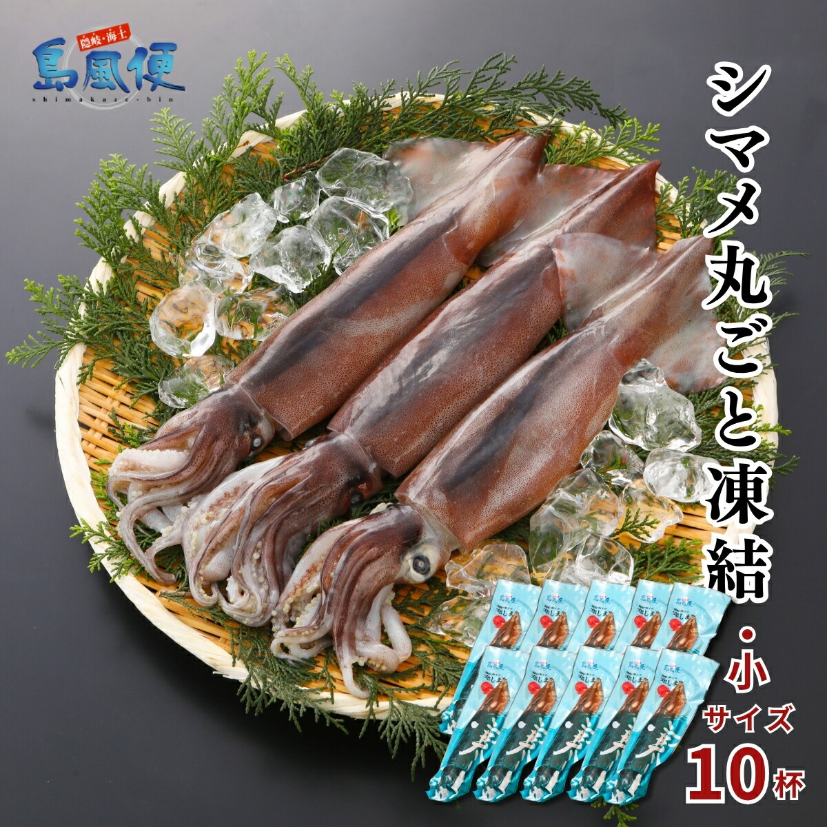 【ふるさと納税】【お徳用】【小10杯】【胴だけで20cm前後】シマメ丸ごと凍結1.6kg【1杯160ｇ】 スルメイカ 烏賊 お刺身 おつまみ いかそうめん 冷凍 国産 肝 うり いかわた 塩辛 島根 隠岐 お歳暮 年末年始 御歳暮 ギフト 海士町 CAS 12月24日までのご注文で年内発送