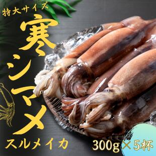 【ふるさと納税】【朝どれ寒シマメ特大サイズ 丸ごと5杯セット】300g×5杯 いか イカ スルメイカ 朝どれ寒シマメ お歳暮 年末年始 御歳暮 ギフト 12月24日までのご注文で年内発送|島根県海士町