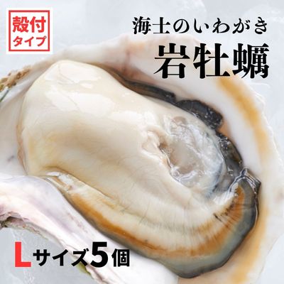 【ふるさと納税】【いわがき 殻付き Lサイズ 5個】 岩牡蠣 生食可 冷凍 牡蛎 牡蠣 かき カキ 岩牡蠣 いわがき 冷凍  父の日 母の日 バーベキュー ギフト