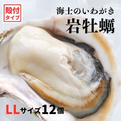 【ふるさと納税】【いわがき 殻付きLLサイズ 12個】海士のいわがき 岩牡蠣 生食可 冷凍 牡蛎 牡蠣 かき カキ 岩牡蠣 いわがき 冷凍 お歳暮 年末年始 御歳暮 ギフト 12月24日までのご注文で年内発送｜島根県海士町